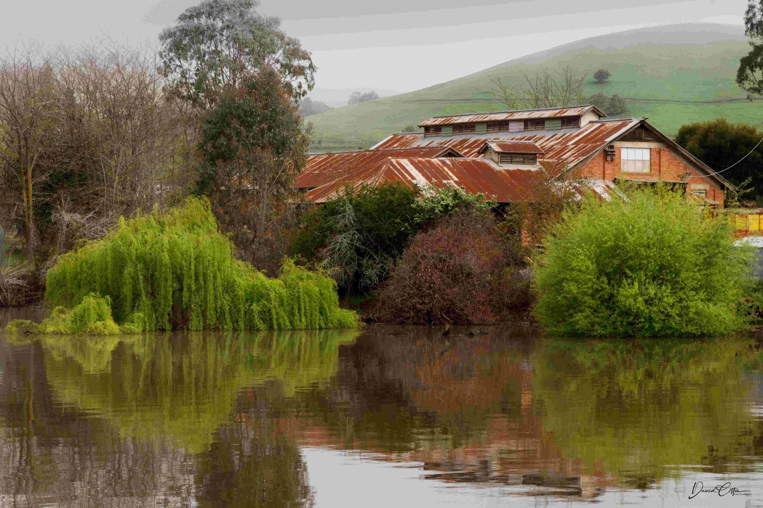 The Old Butter Factory - Old Tallangatta
