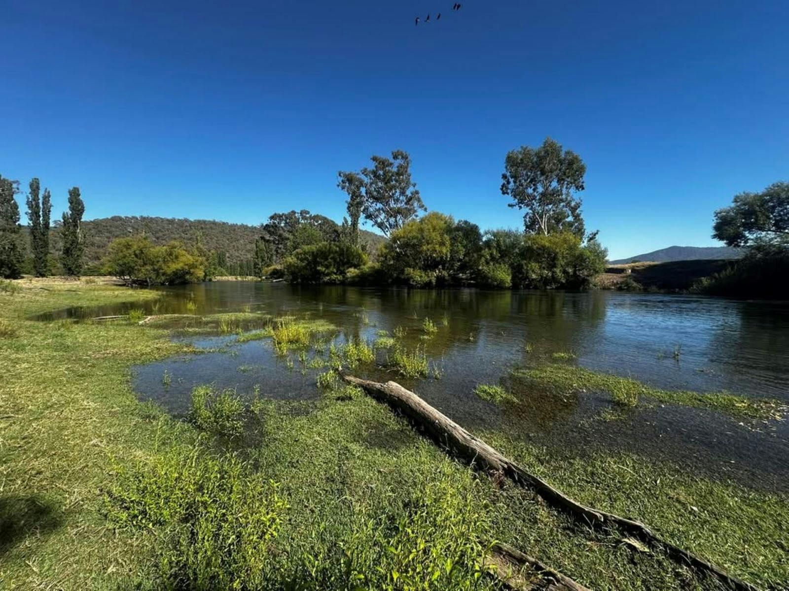A Day on the Stream: Full Day Tour - Mitta Valley A Day on the Stream: Full Day Tour - Mitta Valley