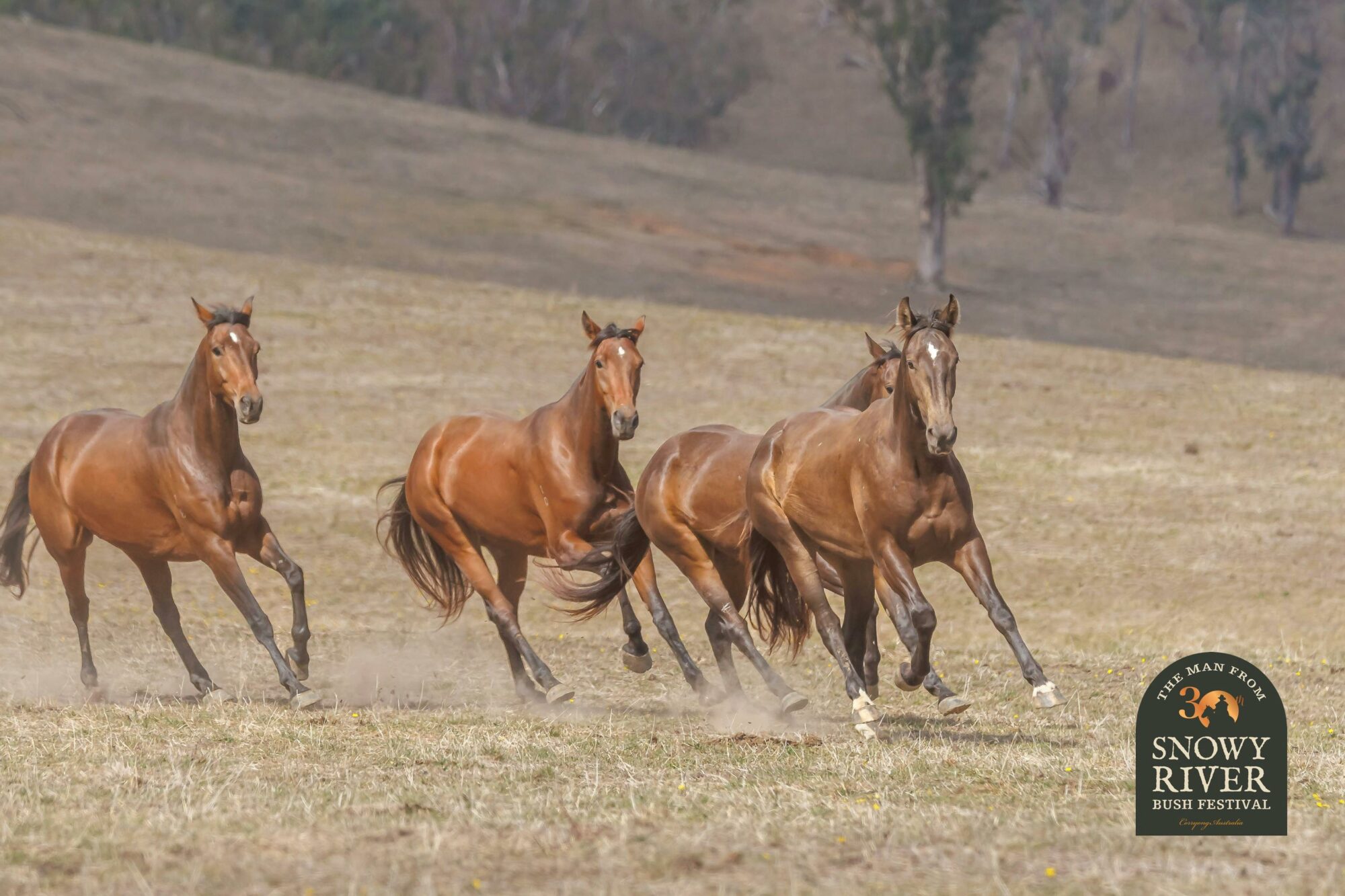 The Man From Snowy River Bush Festival