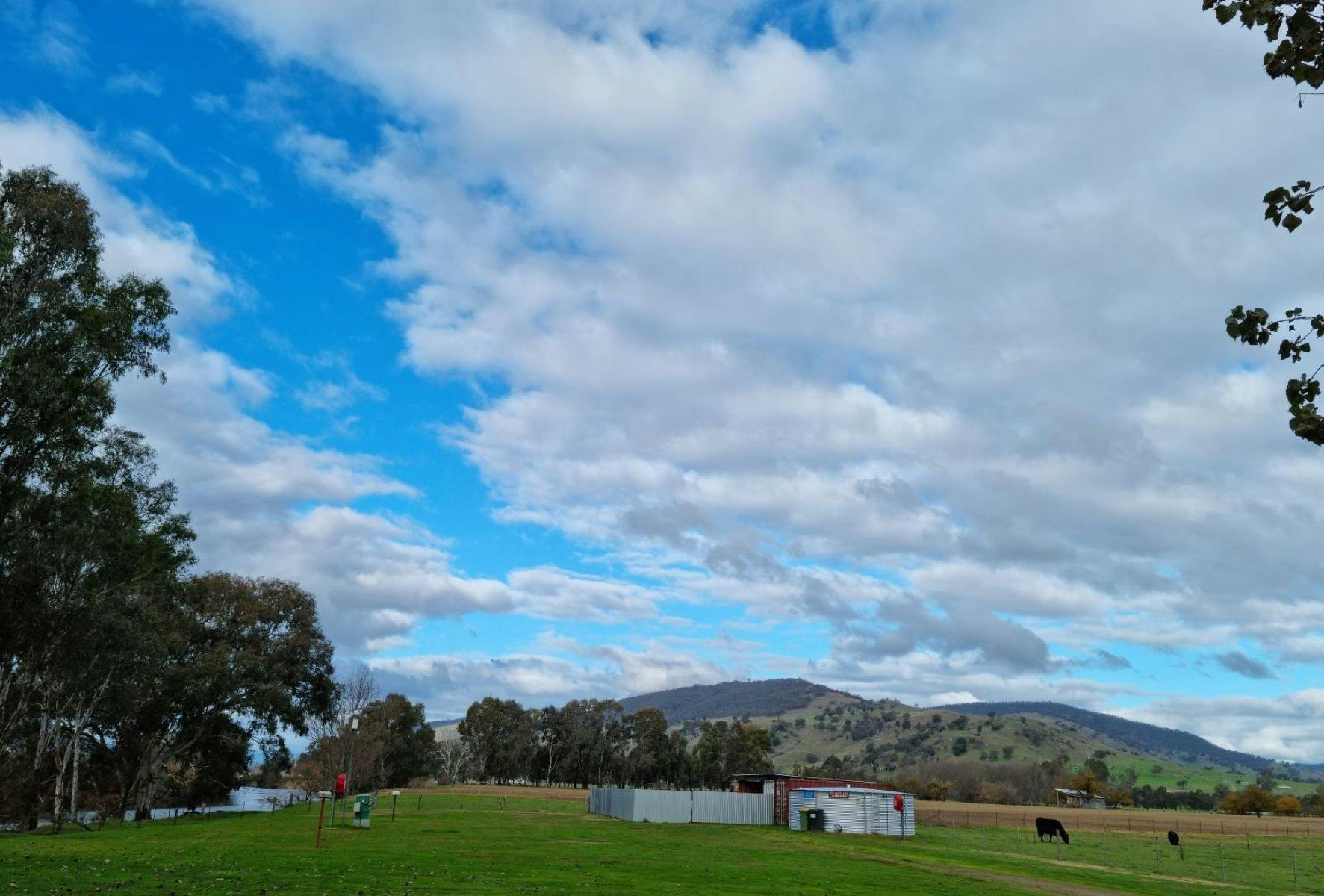 Walwa Outdoor Movie Night