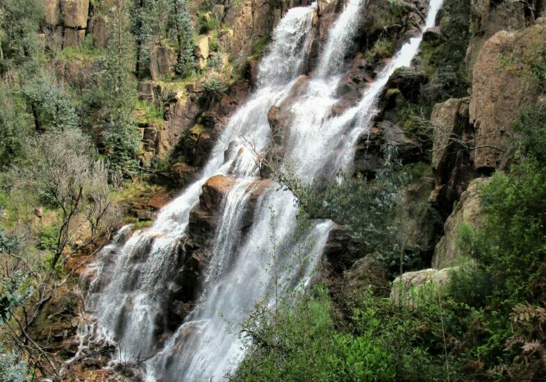 Famil Bluff falls