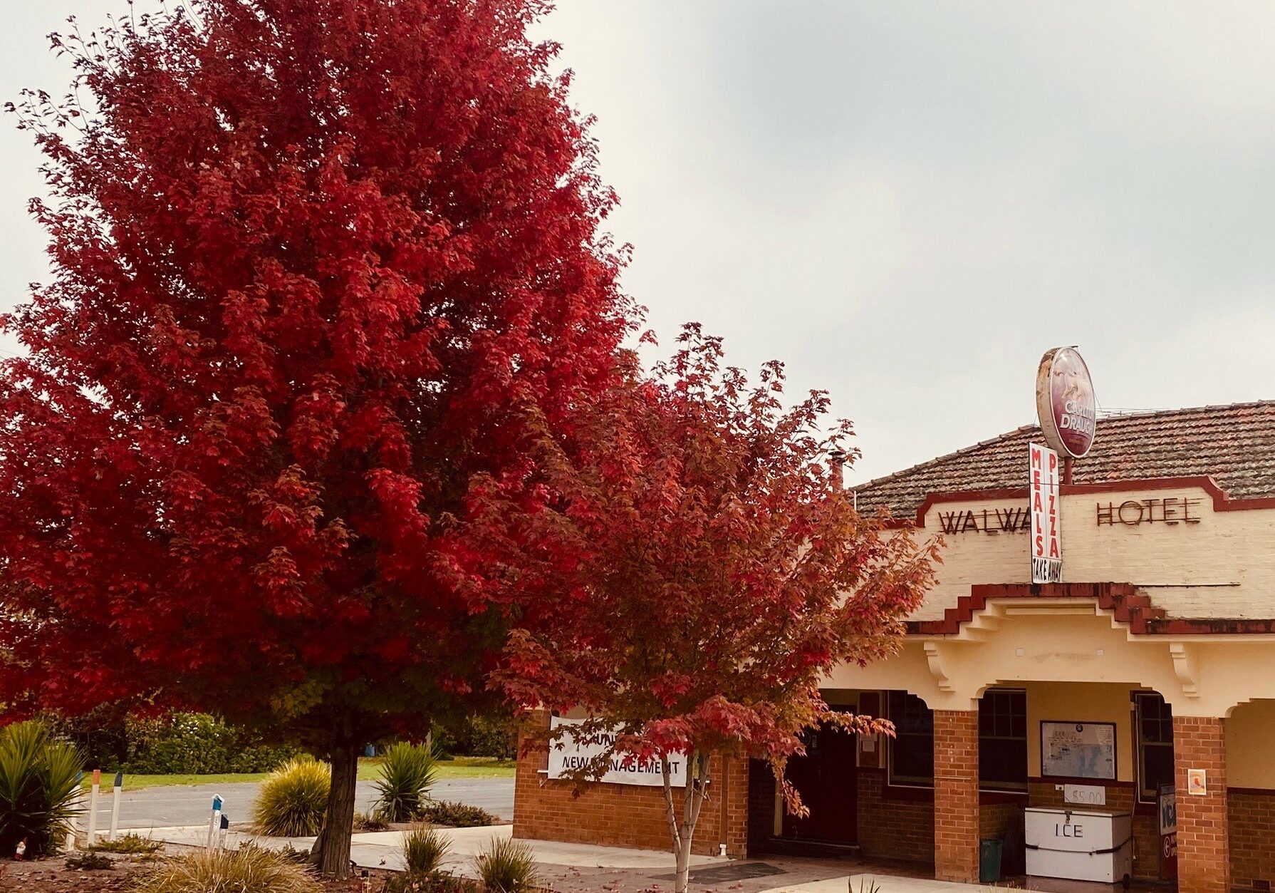 Pub - Walwa Hotel - Autumn pict of pub - provided by Walwa Hotel Pub - Walwa Hotel - Autumn pict of pub - provided by Walwa Hotel