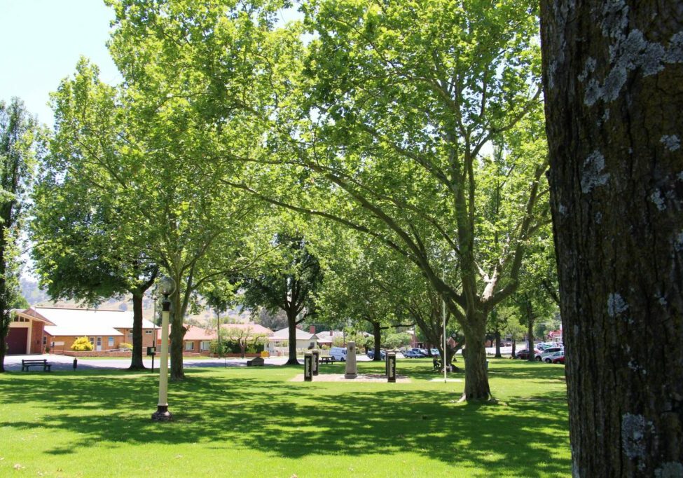 Tallangatta Triangles Park