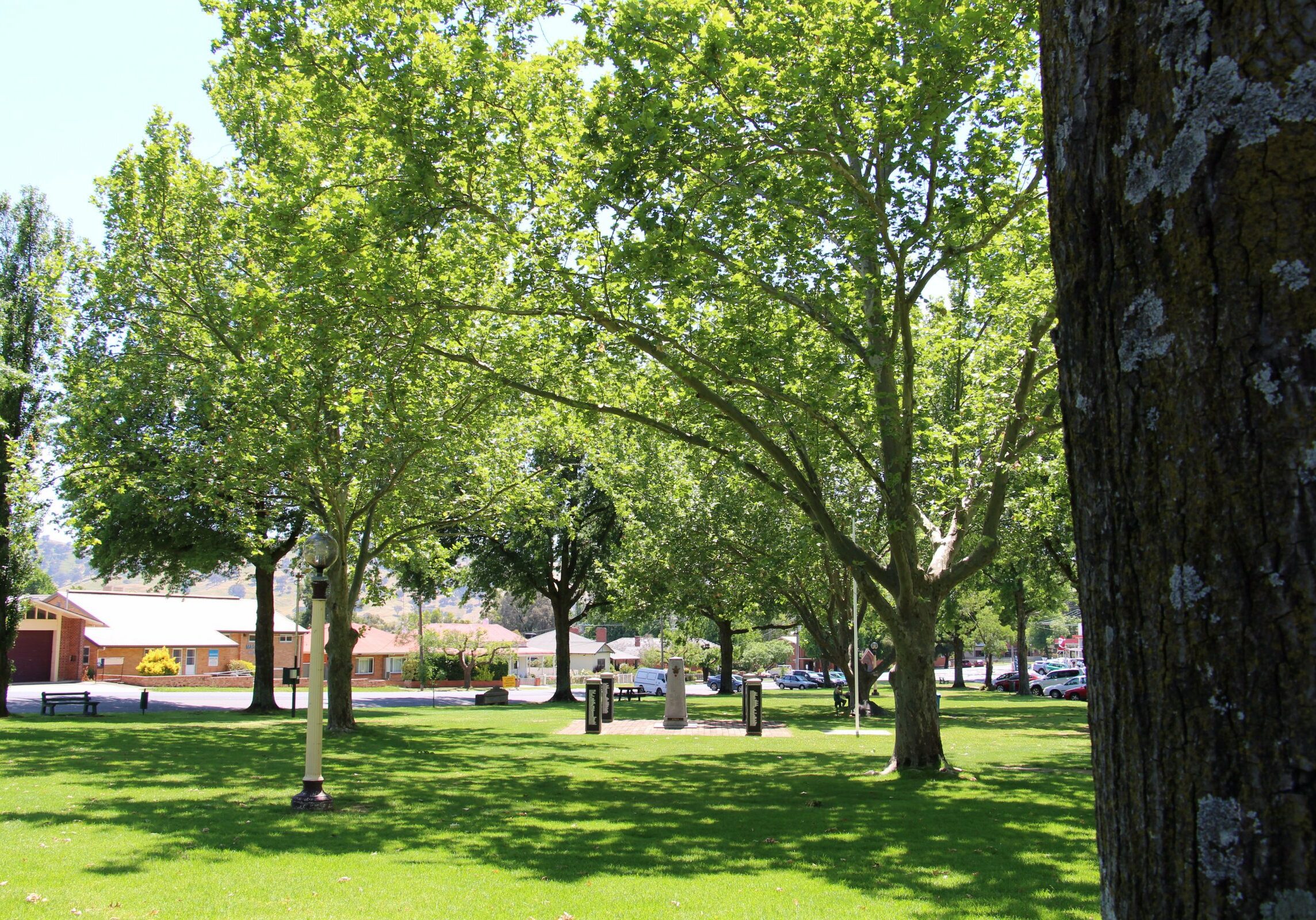 Tallangatta Triangles Park Tallangatta Triangles Park