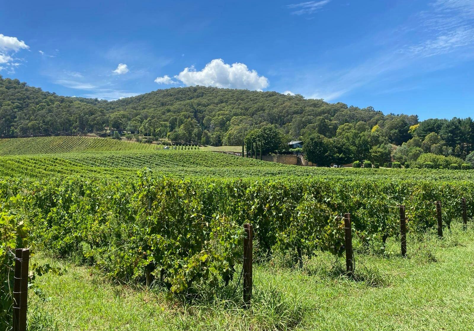 High Country Rail Trails Tour