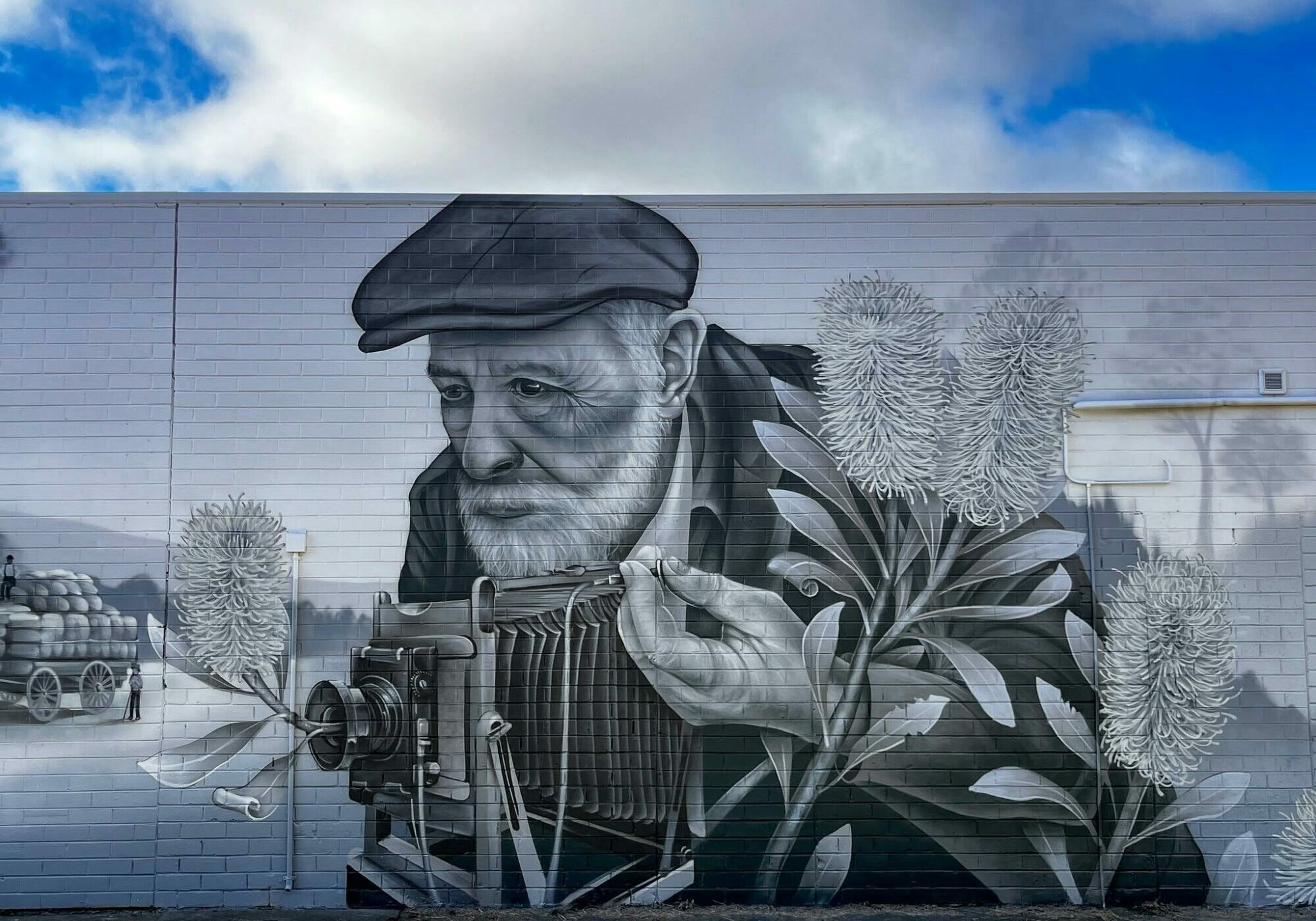 Honouring Arnold Playle