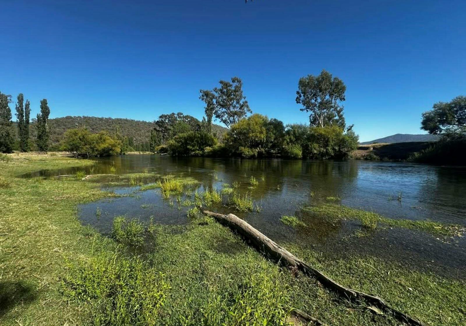 A Day on the Stream: Full Day Tour - Mitta Valley