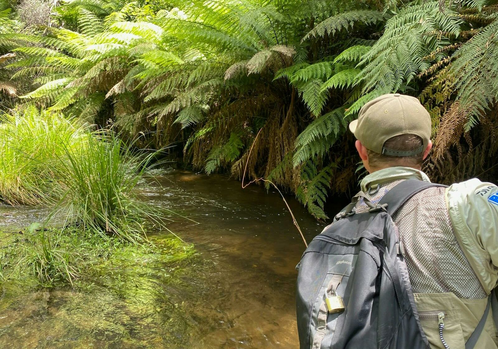 A Half Day on the Stream: A Morning in the Mitta Valley