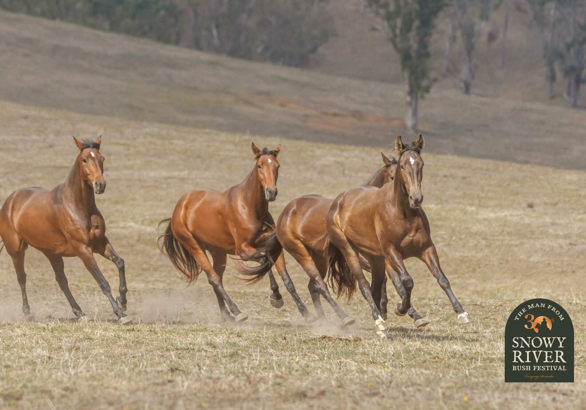 The Man From Snowy River Bush Festival