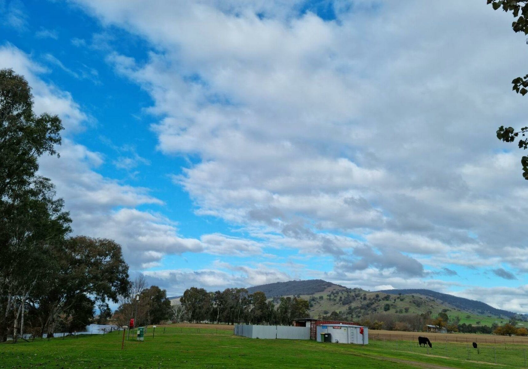 Walwa Outdoor Movie Night