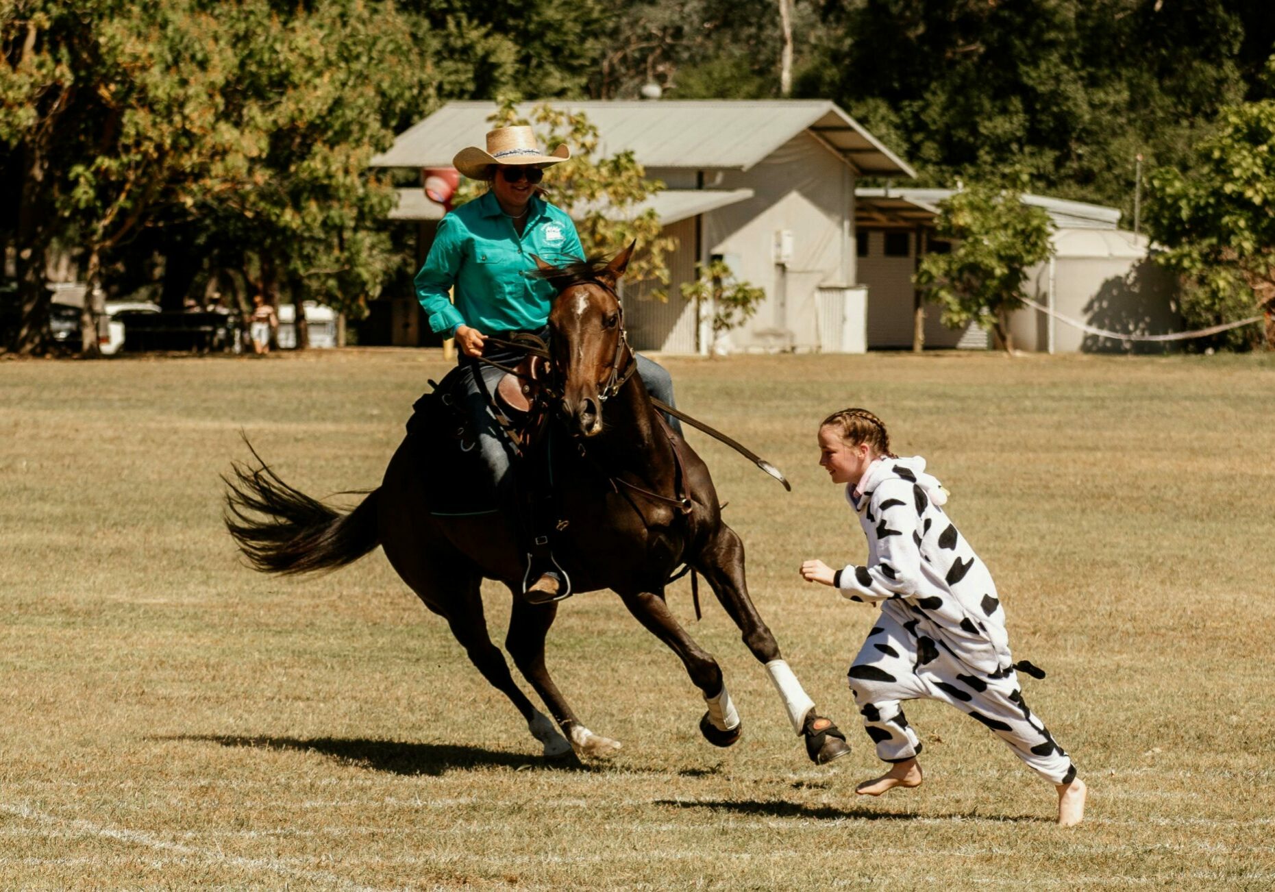 Mighty Mitta Muster