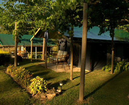 Bharatralia Jungle Camp